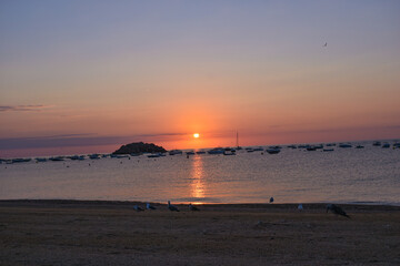 Seagulls resting on the beach in Tossa de Mar in the early hours of the day.
