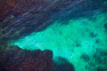 Naklejka na ściany i meble Texture of sea water. Summer background. Ocean coast.