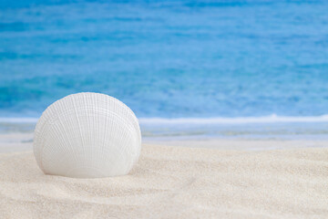 Fototapeta na wymiar White seashell standing on sandy tropical beach surface and sea or ocean waves on the background horizontal macro wallpaper