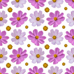 Colorful floral seamless pattern with pink cosmos flowers collage on white background. Stock illustration.