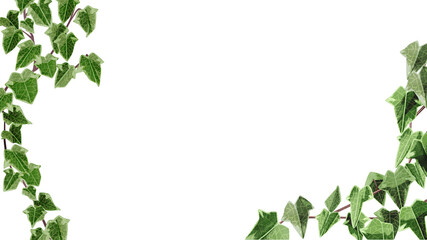ランタンとつる草のフレームイラスト Wall Mural Wallpaper Murals Ko Hamari ランタンとつる草のフレームイラスト Wall Mural Wallpaper Murals Ko Hamari