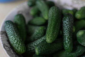 large plate with green pimpled prickly cucumbers