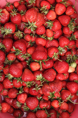 Strawberry summer fresh harvest garden fruits