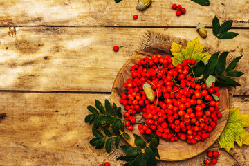 Ripe rowan berries and cherry plum fruits on round plate