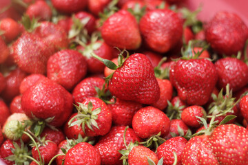 Strawberry summer fresh harvest garden fruits