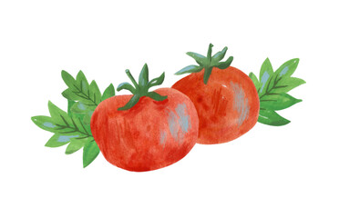 Watercolor set of tomatoes and leaves. Hand-drawn illustration isolated on the white background.