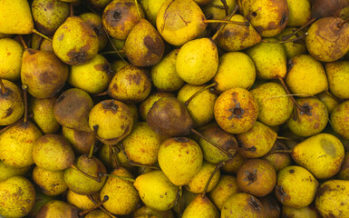 Full frame photo of yellow pears