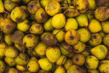 Full frame photo of yellow pears