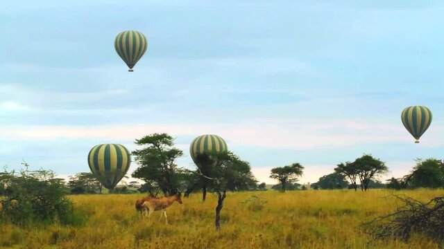 Balloon floating in blue sky above green savana and hartebeest