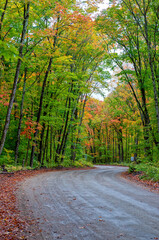 Fototapeta premium wet dirt road in fall forest