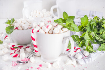 Homemade Peppermint Hot Chocolate. Two cup of hot cocoa drink, with mint, marshmallow and candy cane, on white table background