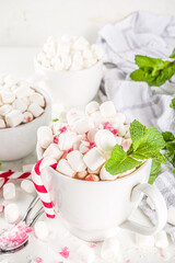 Homemade Peppermint Hot Chocolate. Two cup of hot cocoa drink, with mint, marshmallow and candy cane, on white table background