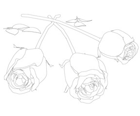 Contour of a bouquet of three roses from black lines isolated on a white background. Vector illustration