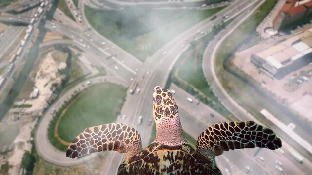 magic nature. turtle fly on city