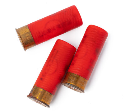 Shotgun shell cartridge isolated on white background