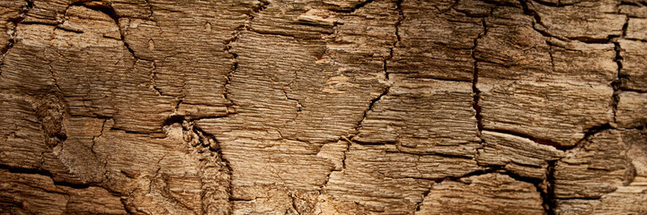 Dark old natural wood texture. Perfect panorama banner