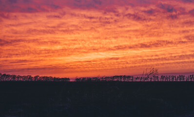 Fototapeta na wymiar red sunset
