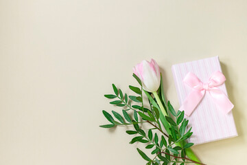 Gift box and pink tulip on a beige background. The concept of festive events and gift wrapping. Festive background.