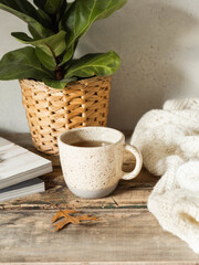Cozy autumn home still life of a houseplant, a mug with a drink, a knitted blanket and magazines on a rustic wooden table