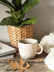 Cozy autumn home still life of a houseplant, a mug with a drink, a knitted blanket and magazines on a rustic wooden table