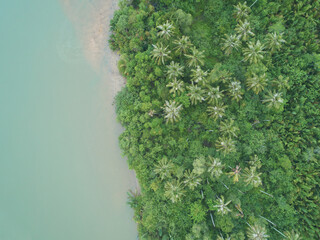 Aerial view of tropical island with lust greenery of plants