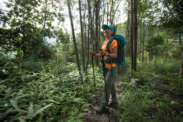 Woman backpacker hiking in summer sunrise forest mountain
