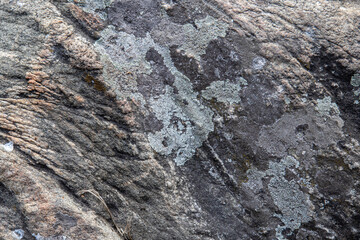 background and texture of stone surface with moss and lichens