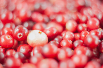Cranberry. Small forest red berry. A scattering of cranberries. Vitamins from nature