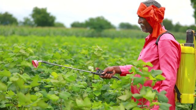 young indian farmer spraying at field