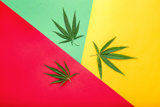 Weed ganja green hemp leaves on rastaman flag, red green yellow background. Cannabis leaf. Weed legalize smoking drug concept. Top view. Medical marijuana plant Cannabis Sativa.