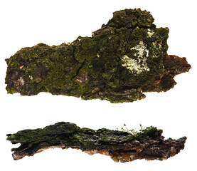 Two pieces of bark on white
