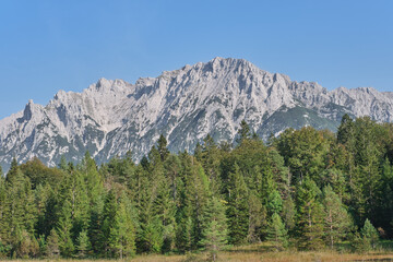 Peak of the Alp mountain and green forest in Mittenwald, Bavaria, Germany