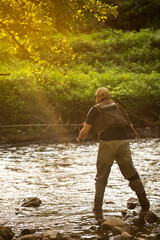 Professional fisherman fly fishing at sunrise on a mountain river.