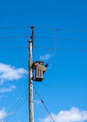 Electricity Transformer on Pole