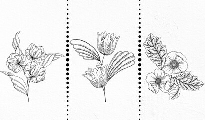 hand drawn sketch of flowers