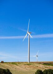 Fototapeta premium Varios aerogeneradores de energia eólica en un campo de Malaga con cielo azul