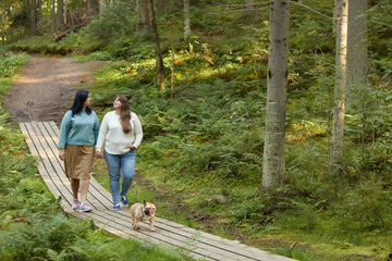 Naklejka na ściany i meble Two young girlfriends walking along the wooden path with their dog and talking in the forest