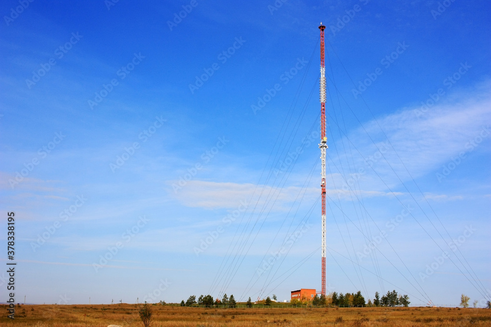 Wall mural cell tower stands in the field