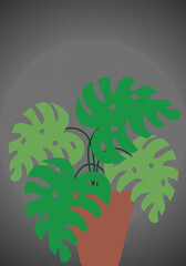 tree with big green leaves on black vinget background