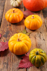 variety of pumpkin, squash and autumn leaf decoration