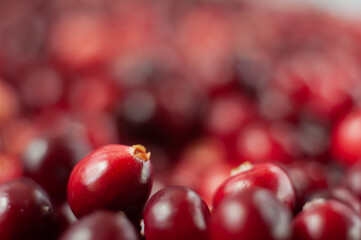 The cranberries. Small forest red berry. A scattering of cranberries. Vitamins from nature. Macro photo. Selective focus.