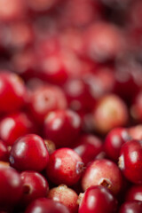 The cranberries. Small forest red berry. A scattering of cranberries. Vitamins from nature. Macro photo. Selective focus.