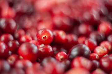 Cranberry. Small forest red berry. A scattering of cranberries. Vitamins from nature