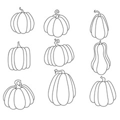 Line cartoon vector pumpkin set. Thanksgiving cute clipart. Autumn symbol collection. Vegetable graphic isolated on white background