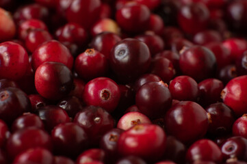 Cranberry. Small forest red berry. A scattering of cranberries. Vitamins from nature