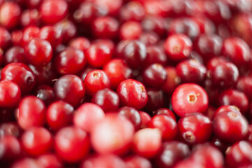 Cranberry. Small forest red berry. A scattering of cranberries. Vitamins from nature