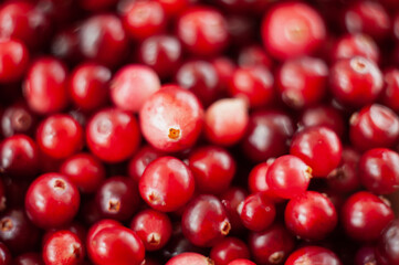 Cranberry. Small forest red berry. A scattering of cranberries. Vitamins from nature