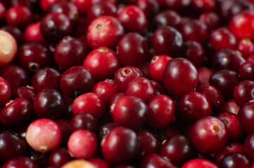 Cranberry. Small forest red berry. A scattering of cranberries. Vitamins from nature