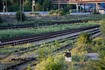 Summer railway tracks overgrown with green grass. Way out.