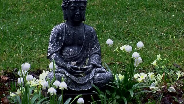 Inmitten von nassen Fr&uuml;hlingsknotenblumen und Primeln sitzt eine Buddhafigur